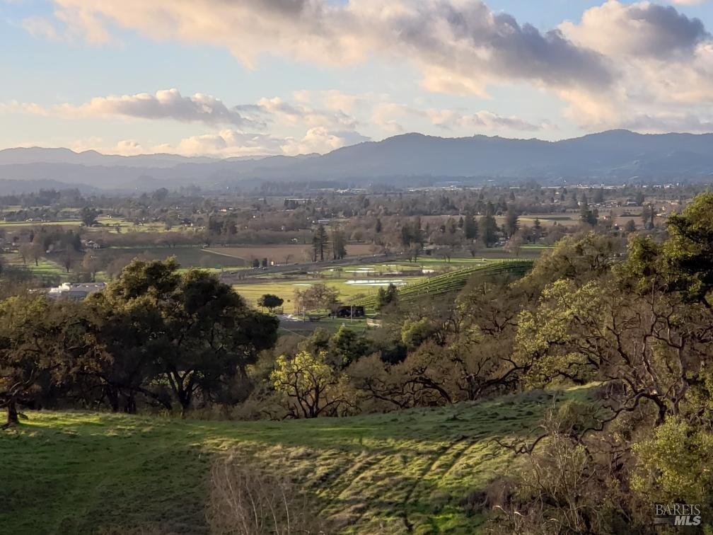 2089 Stonefield Lane