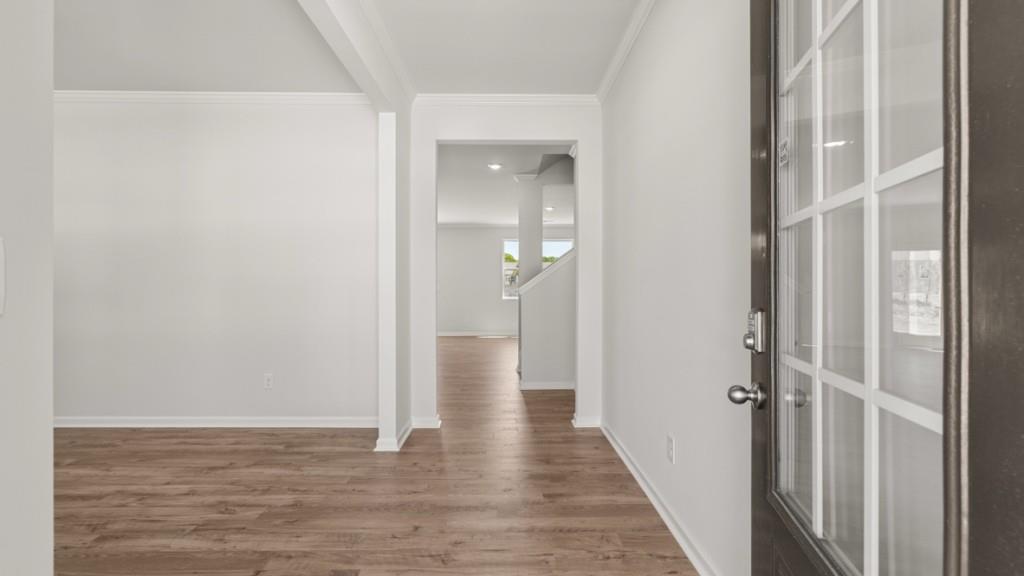 337 Belmont Drive