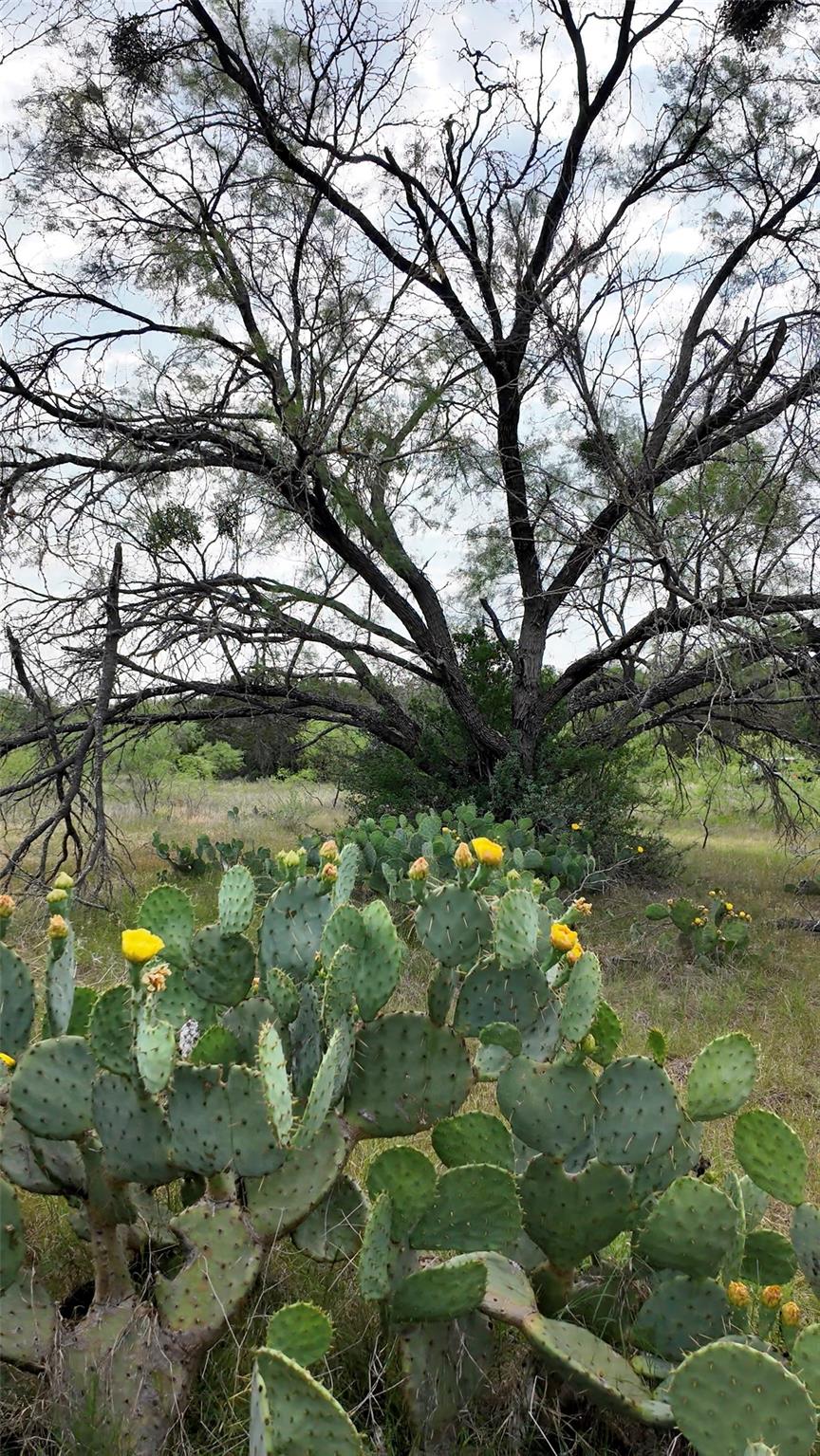 0 Old Ferry RD, Spicewood