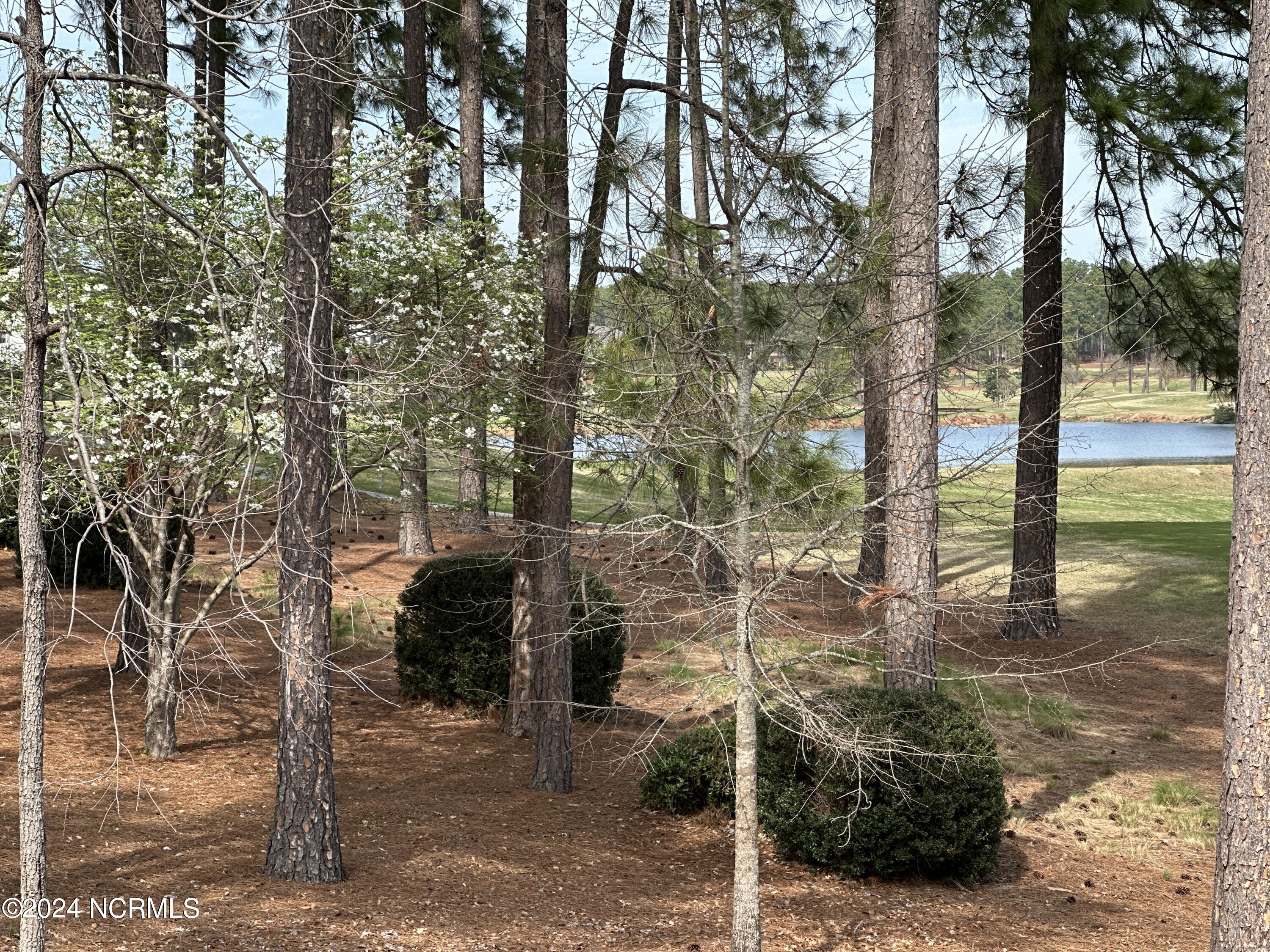 4 Masters Place
