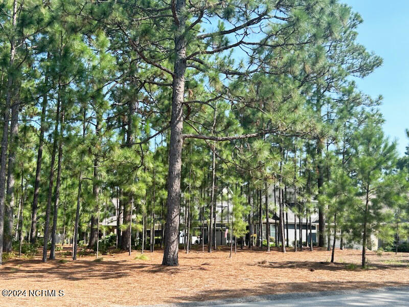 44 390 Dungarvan Lane