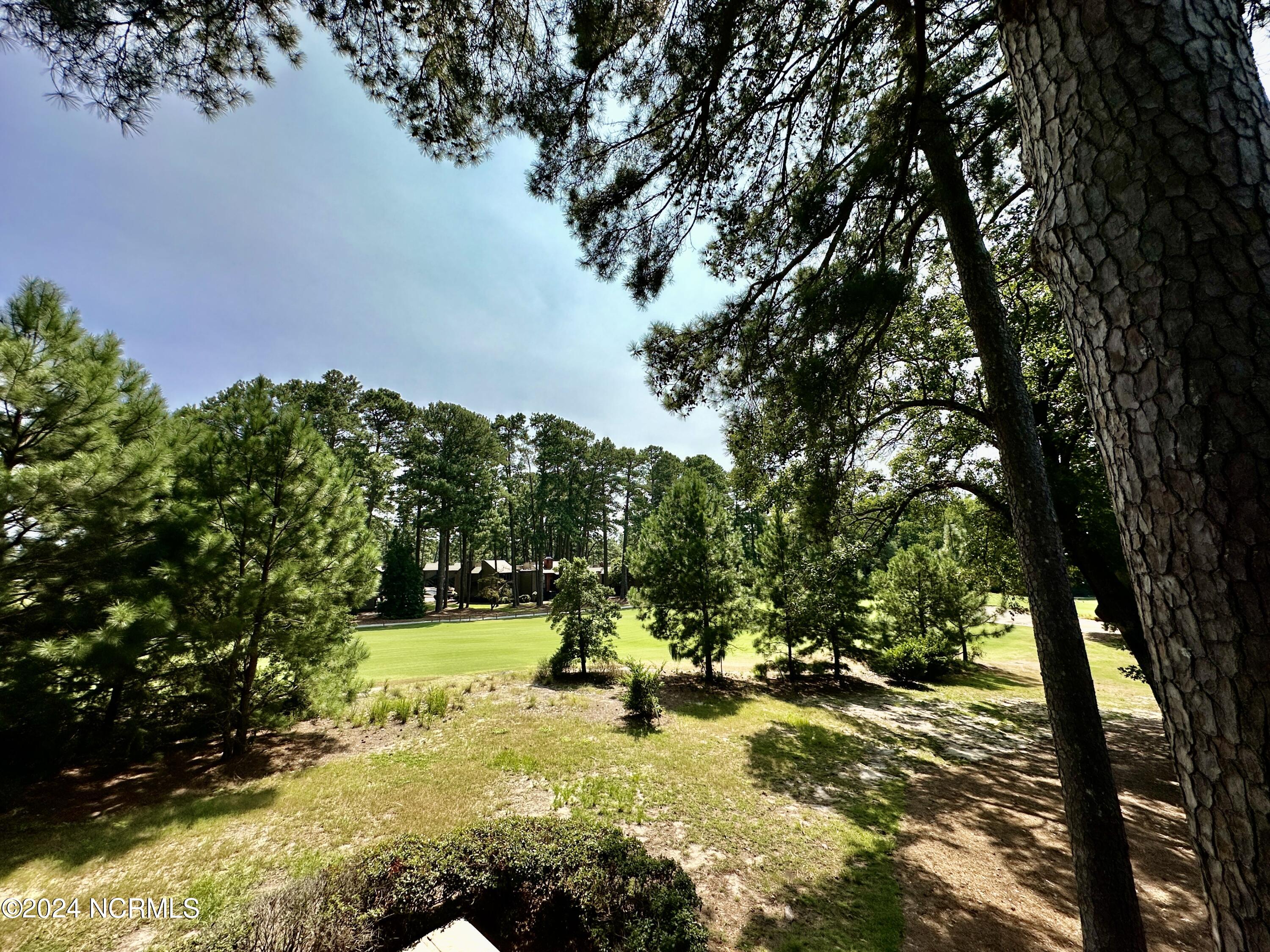 85 Pine Valley Road, 44