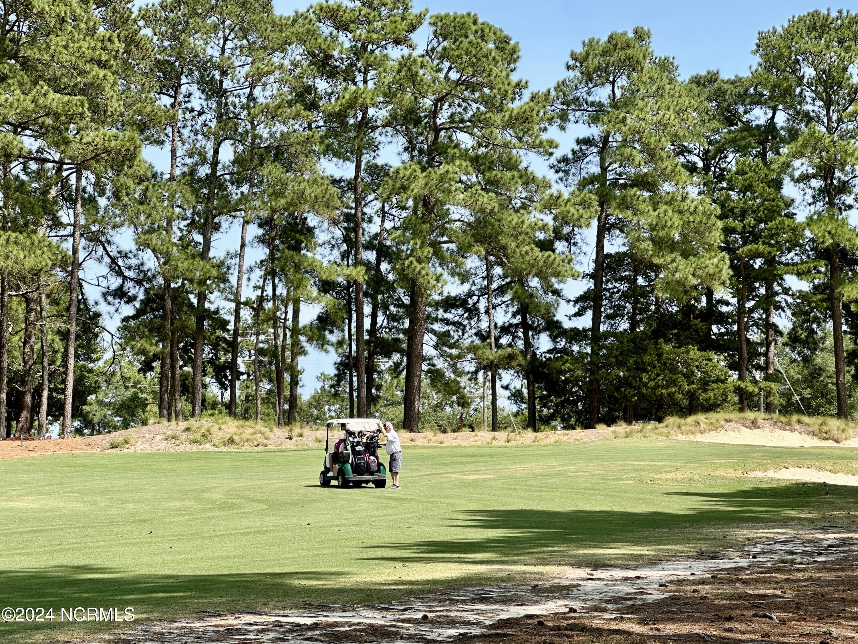 85 Pine Valley Road, 44