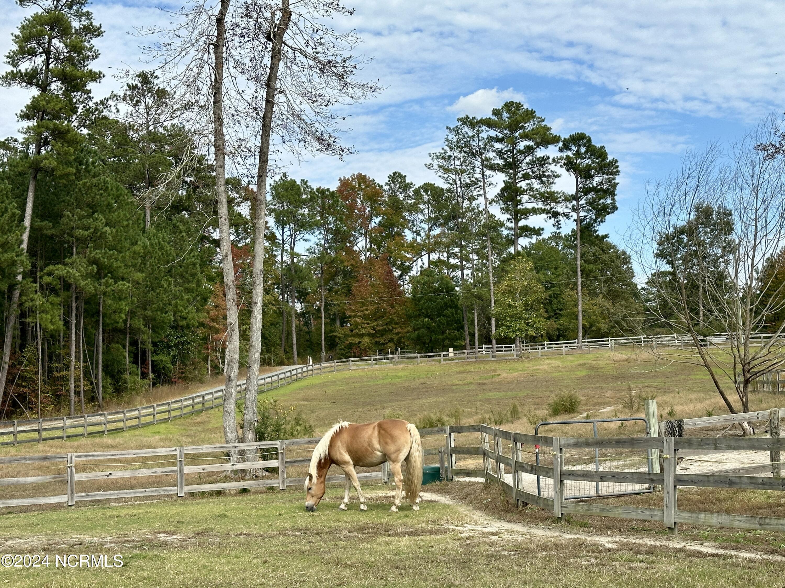 230 Causey Road