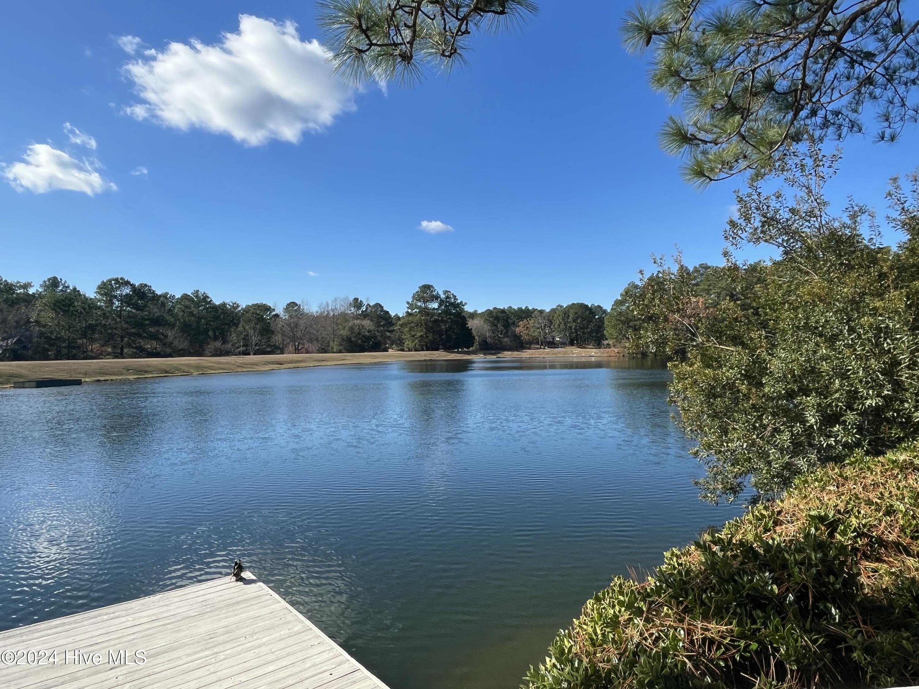 135 Lake Shore Drive