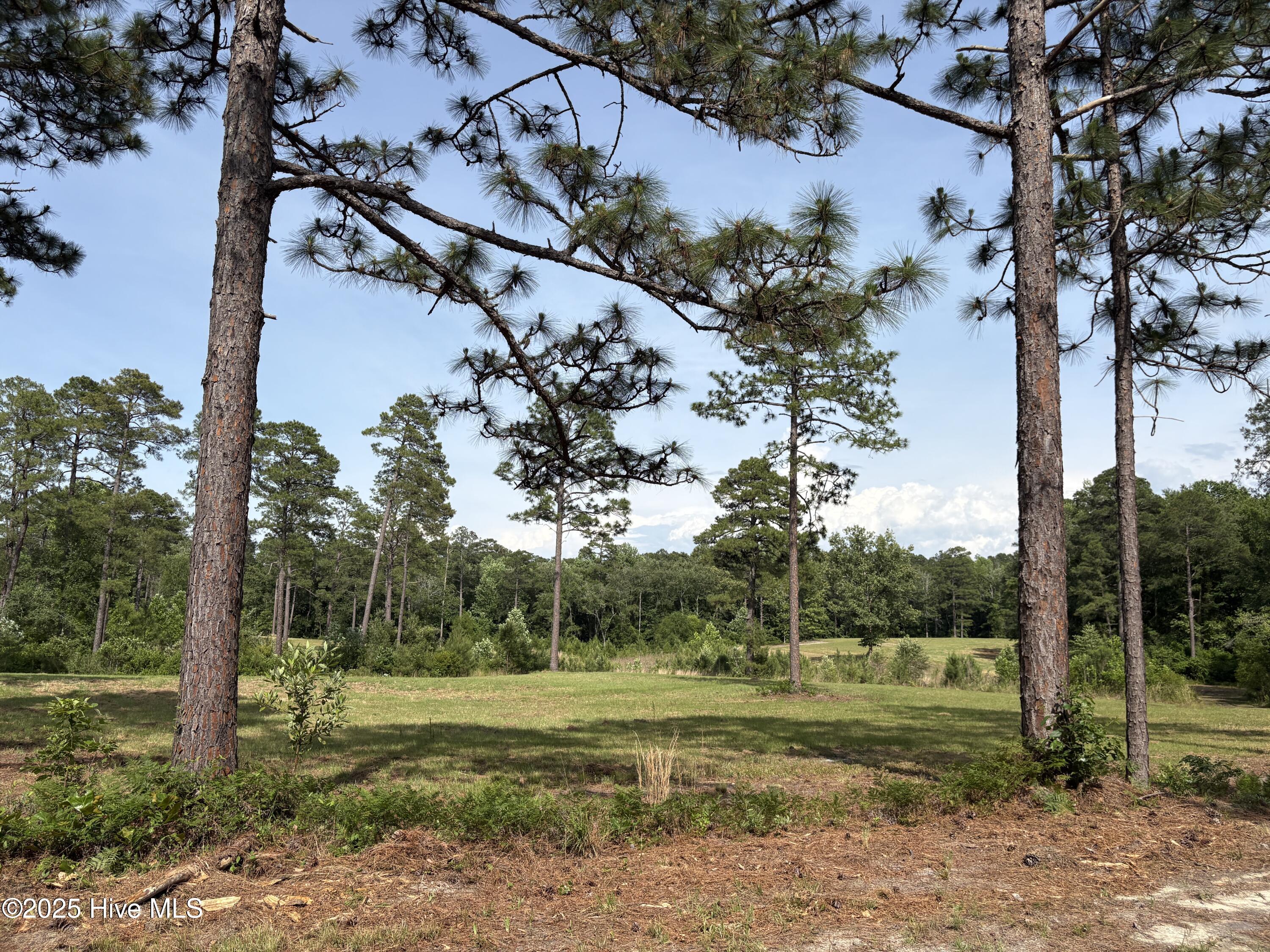 355 7 Fox Box Road