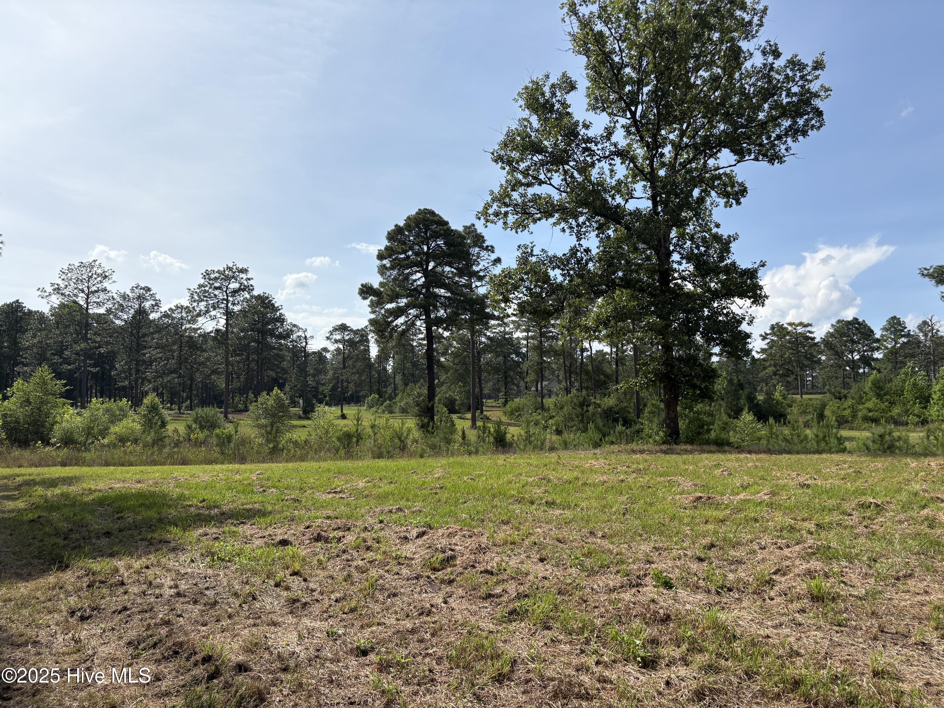 355 7 Fox Box Road