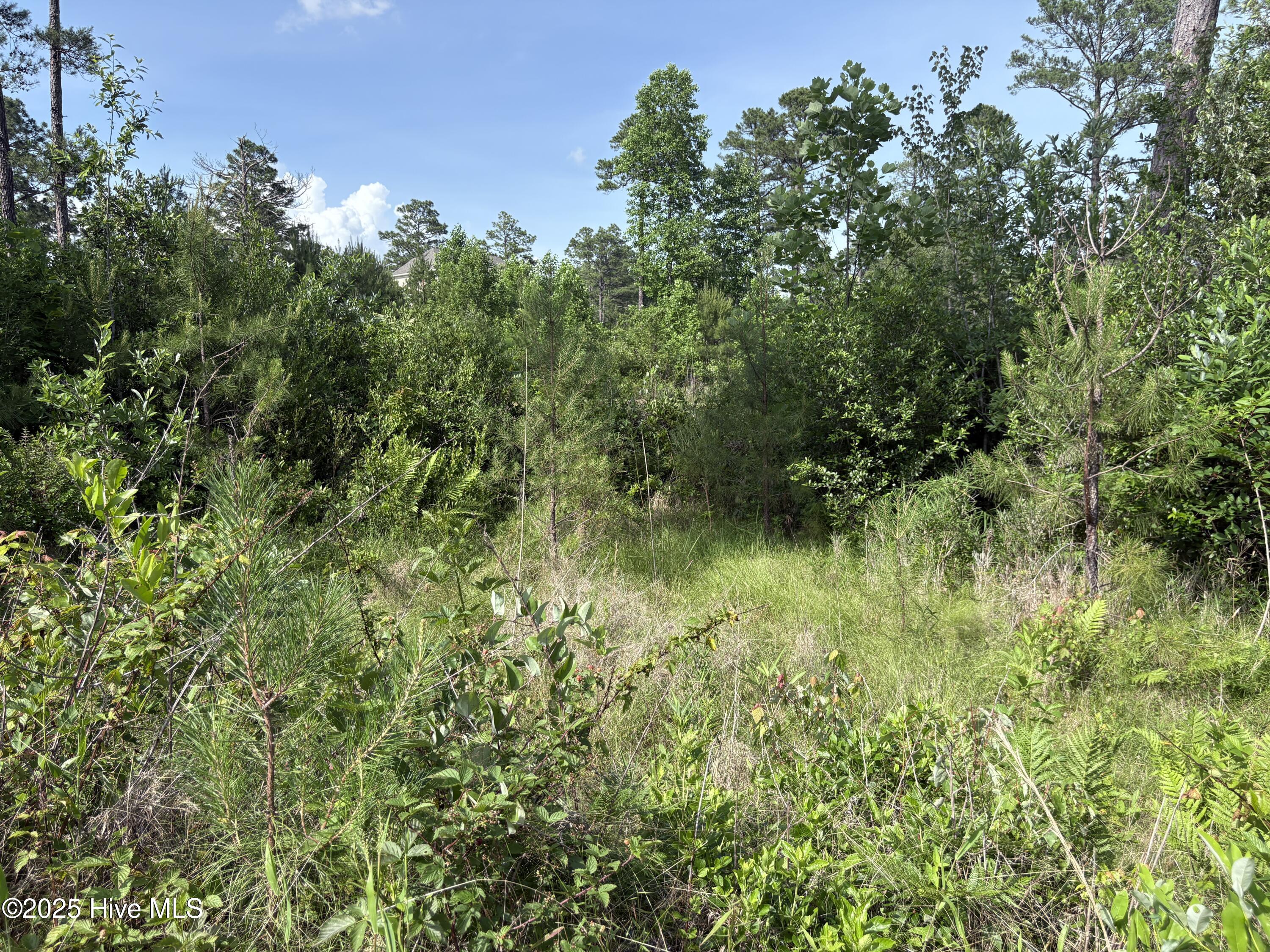 355 7 Fox Box Road