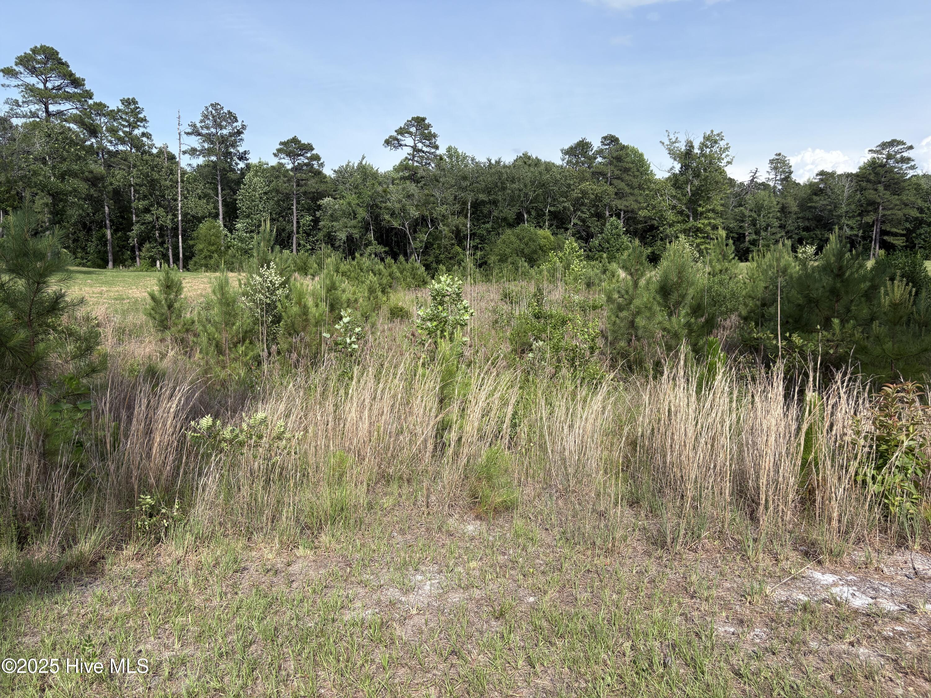 355 7 Fox Box Road
