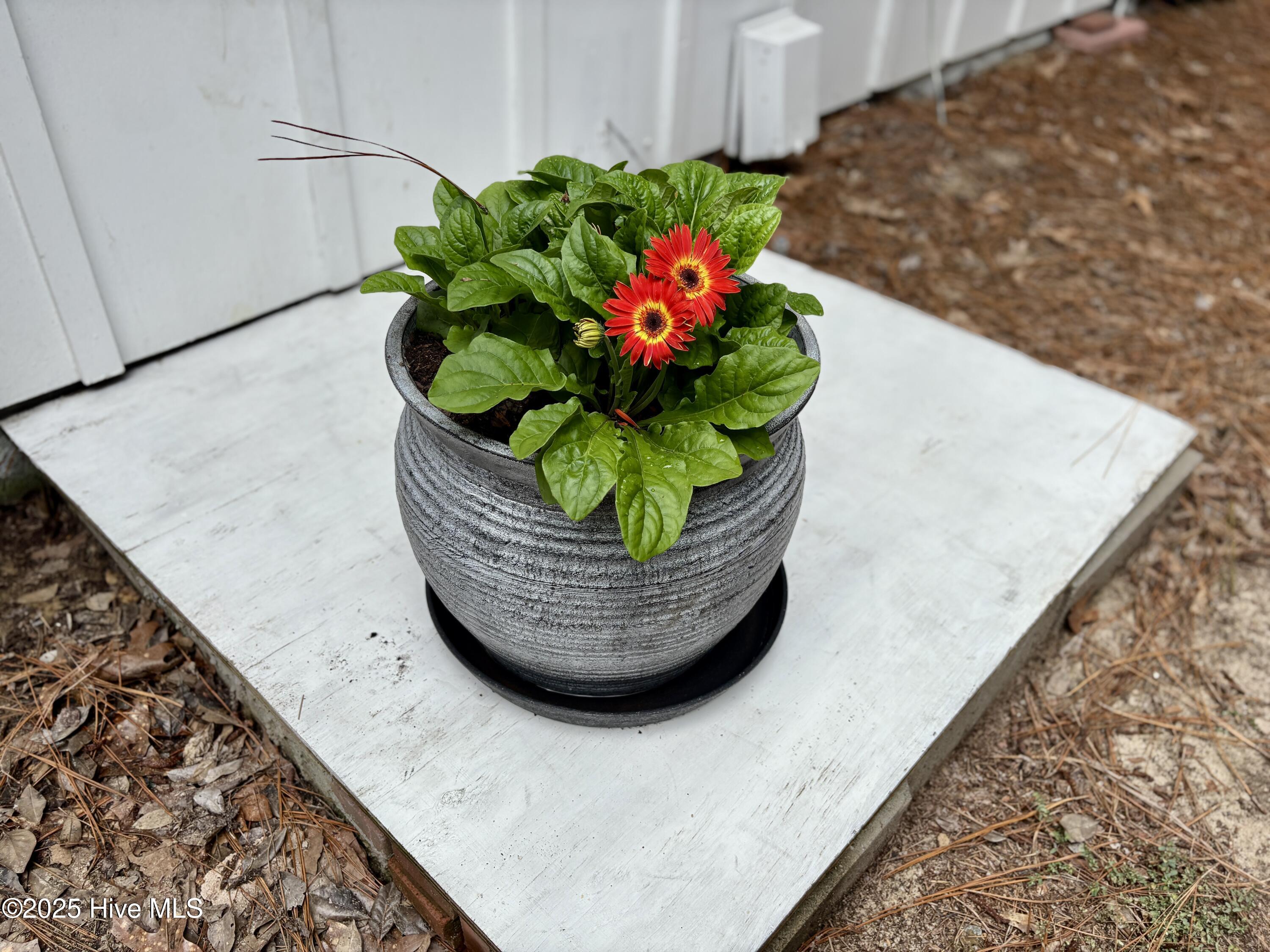 1425 Monticello Drive