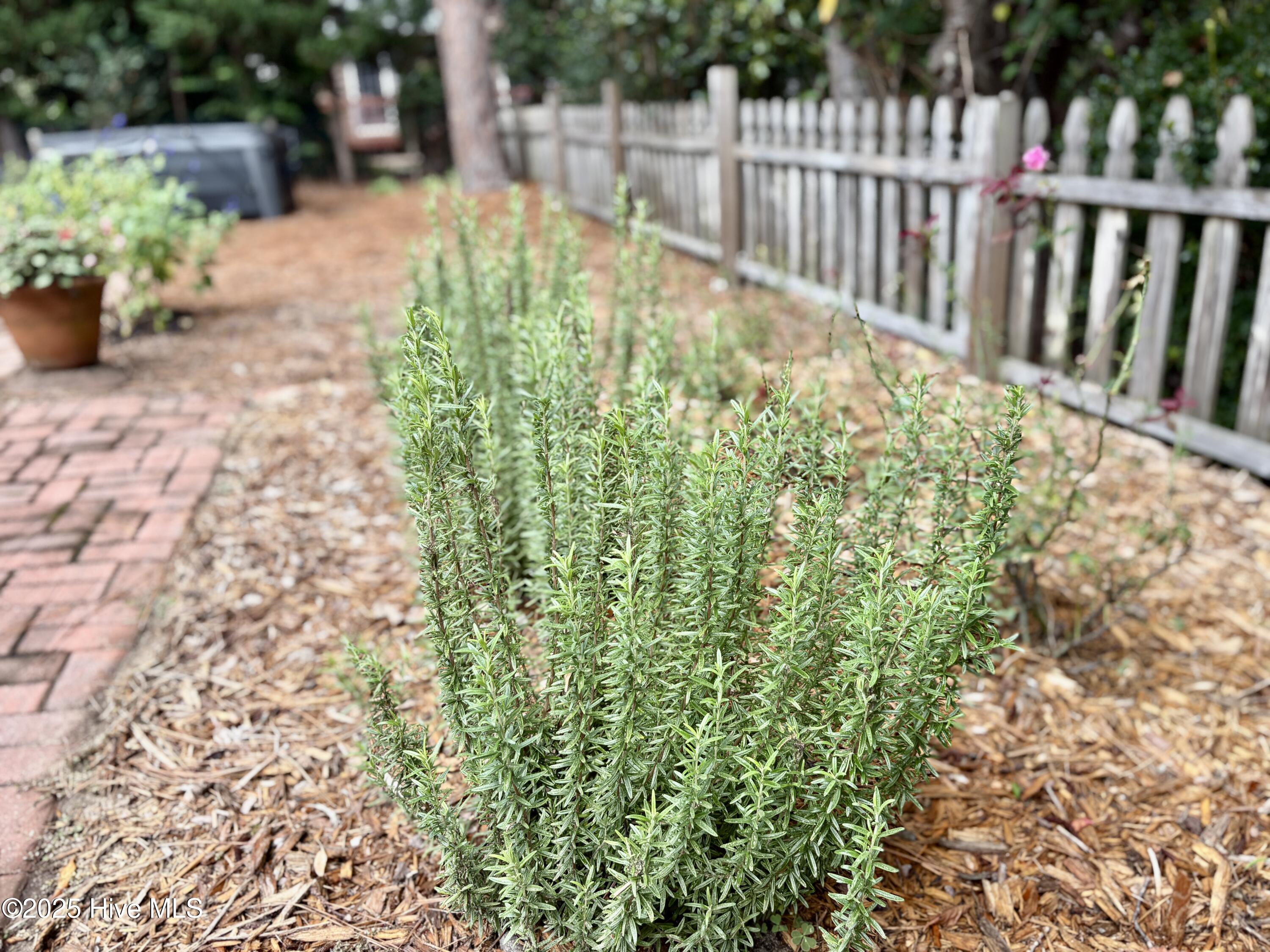 1425 Monticello Drive