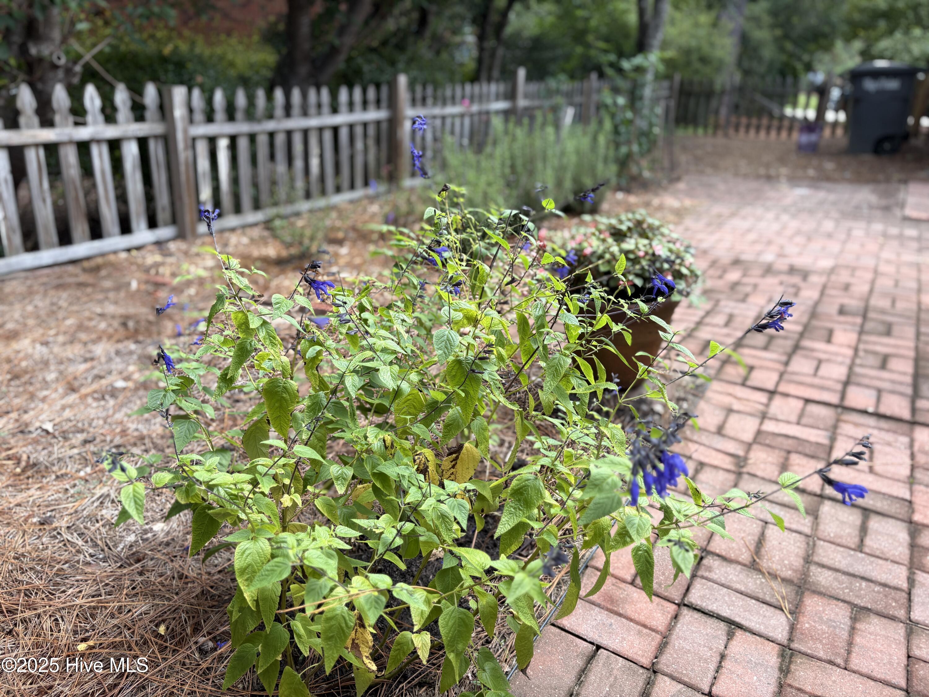 1425 Monticello Drive