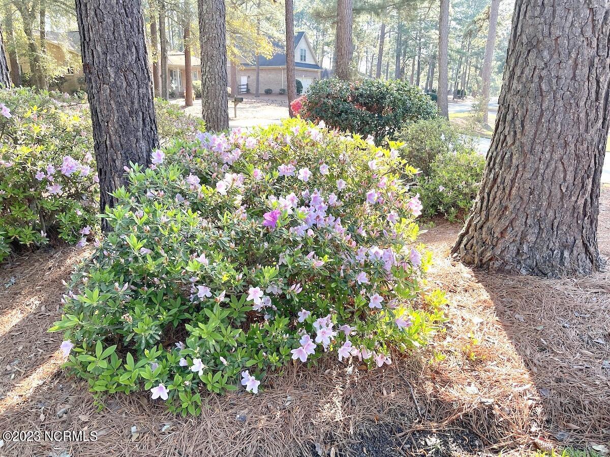 375 Saint Andrews Drive