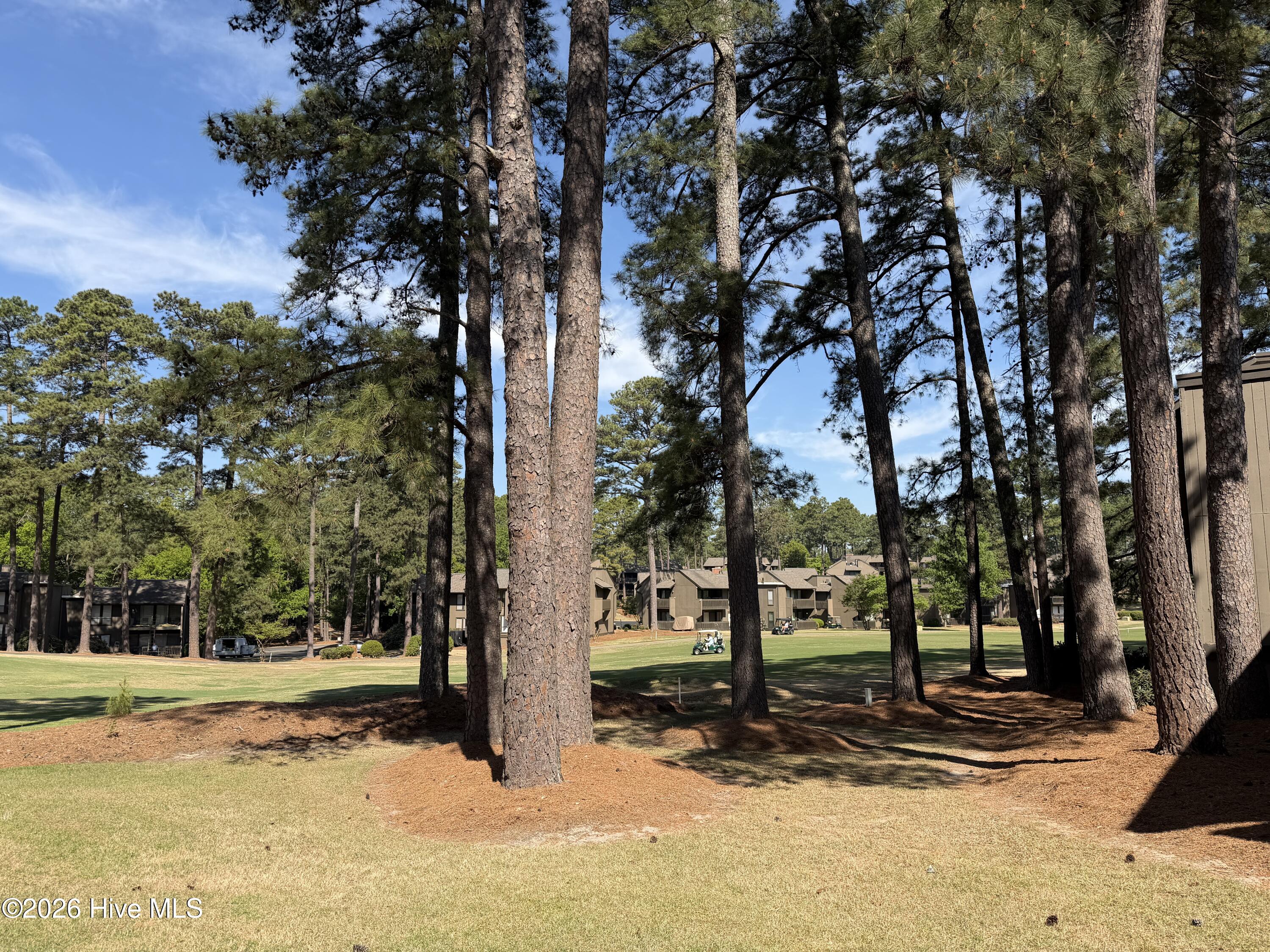 5 Pine Tree Road # 119