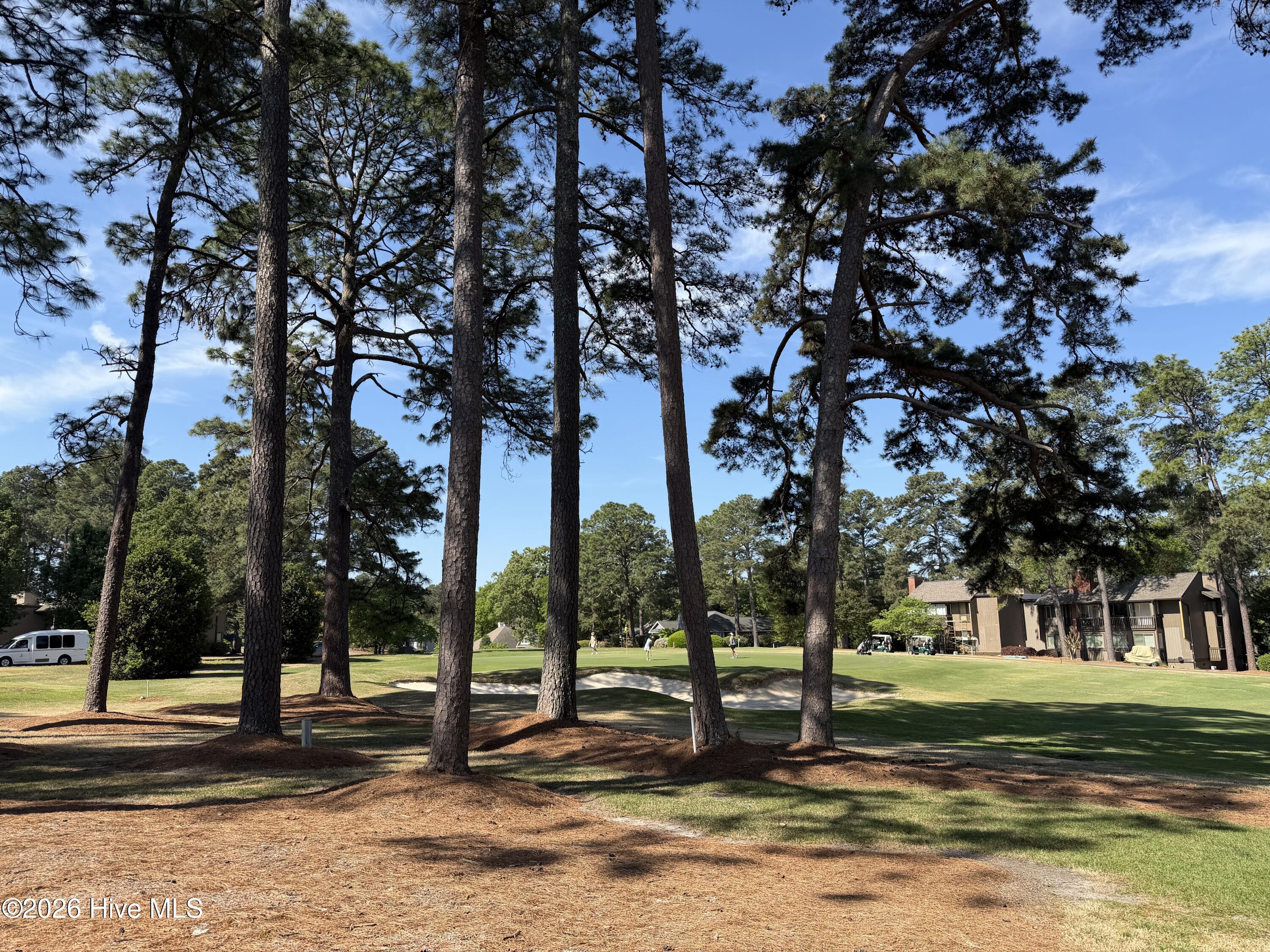 5 Pine Tree Road # 119