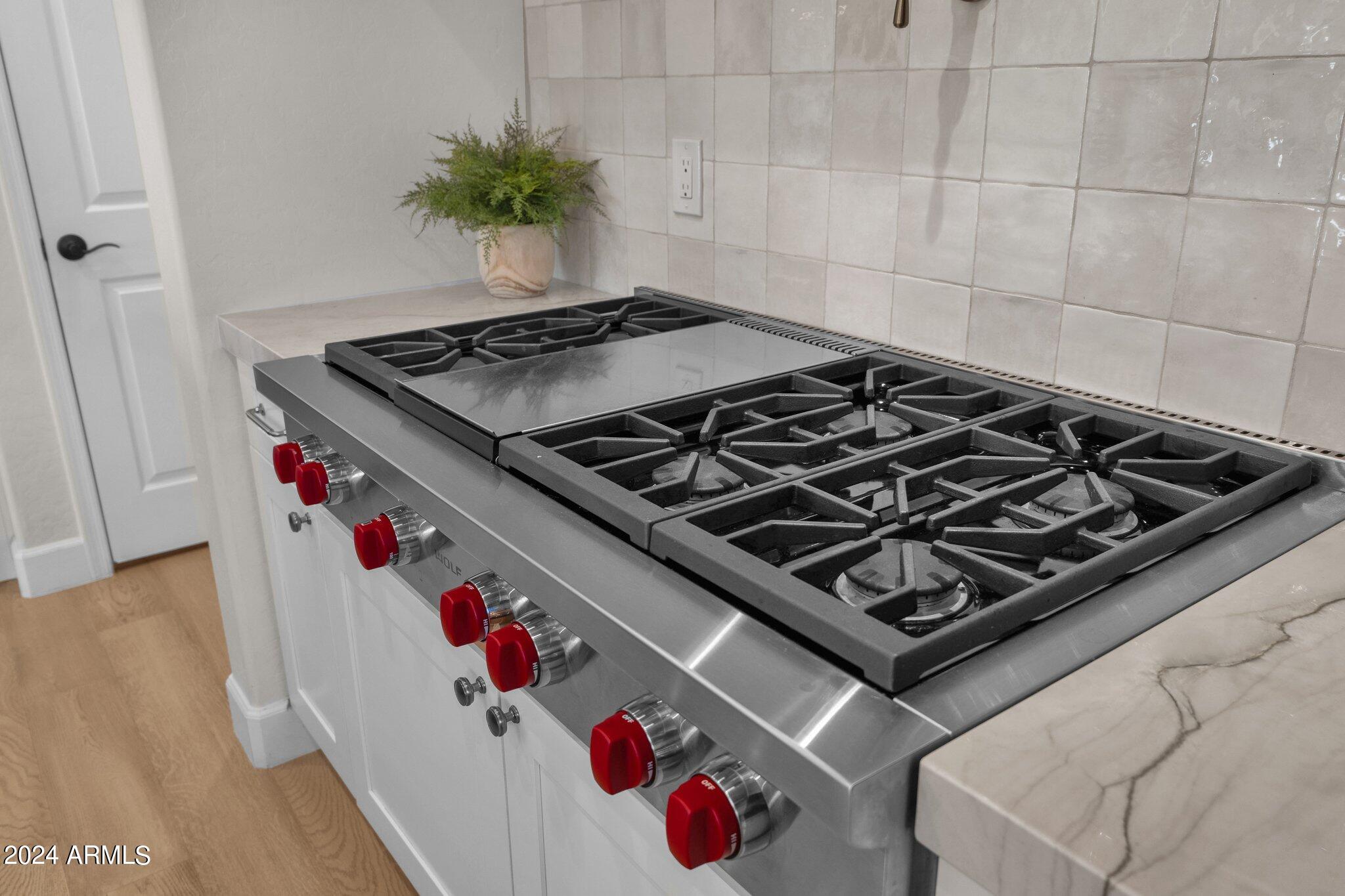 2517 S CONSTELLATION Way