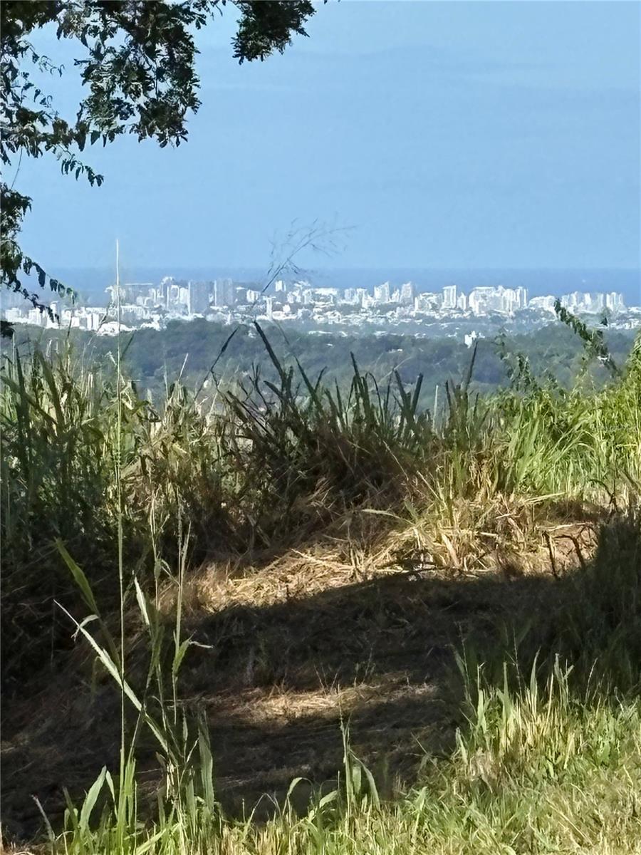 QUEBRADA GRANDE