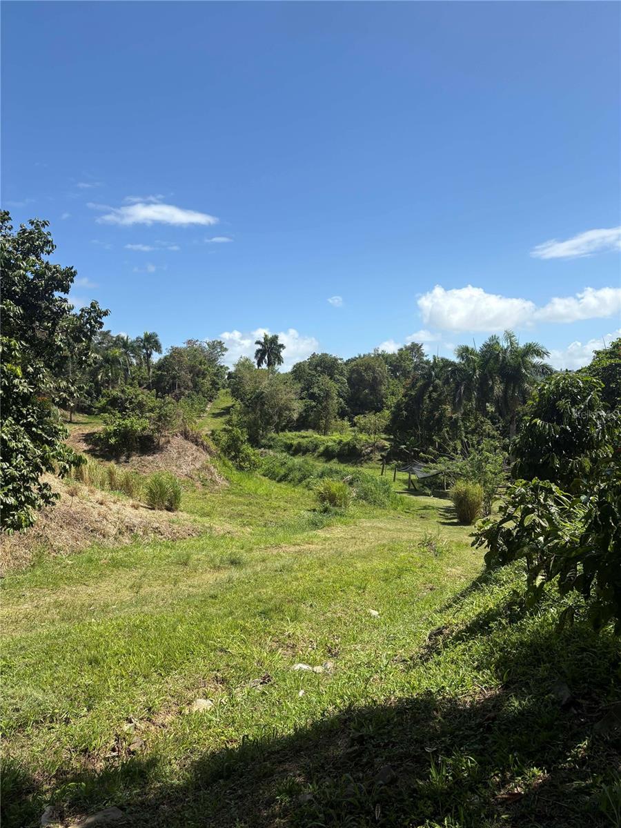 QUEBRADA GRANDE