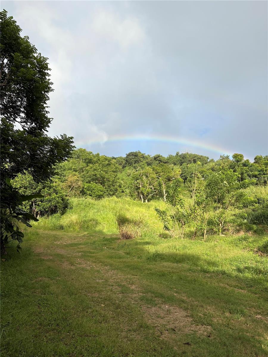 QUEBRADA GRANDE