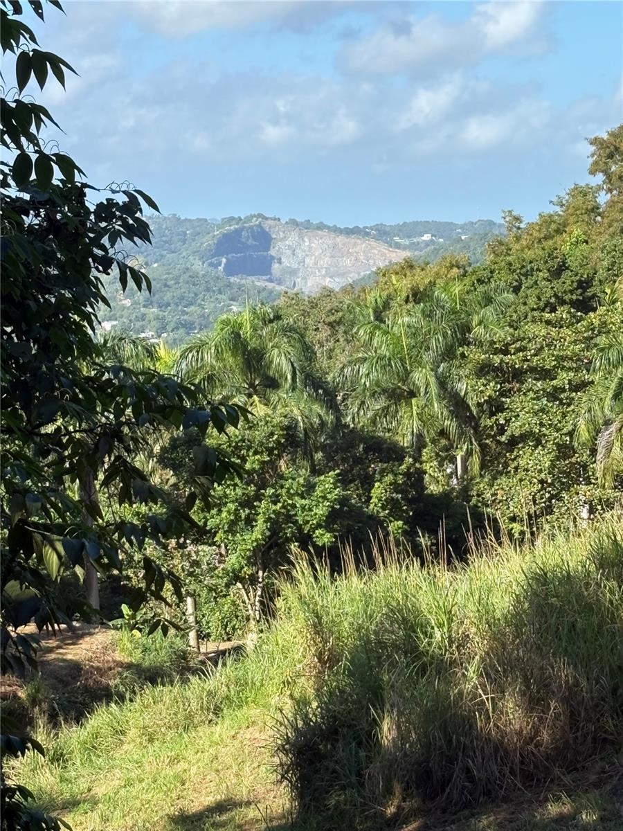 QUEBRADA GRANDE