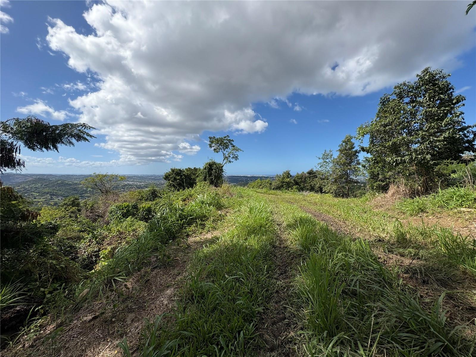 QUEBRADA GRANDE