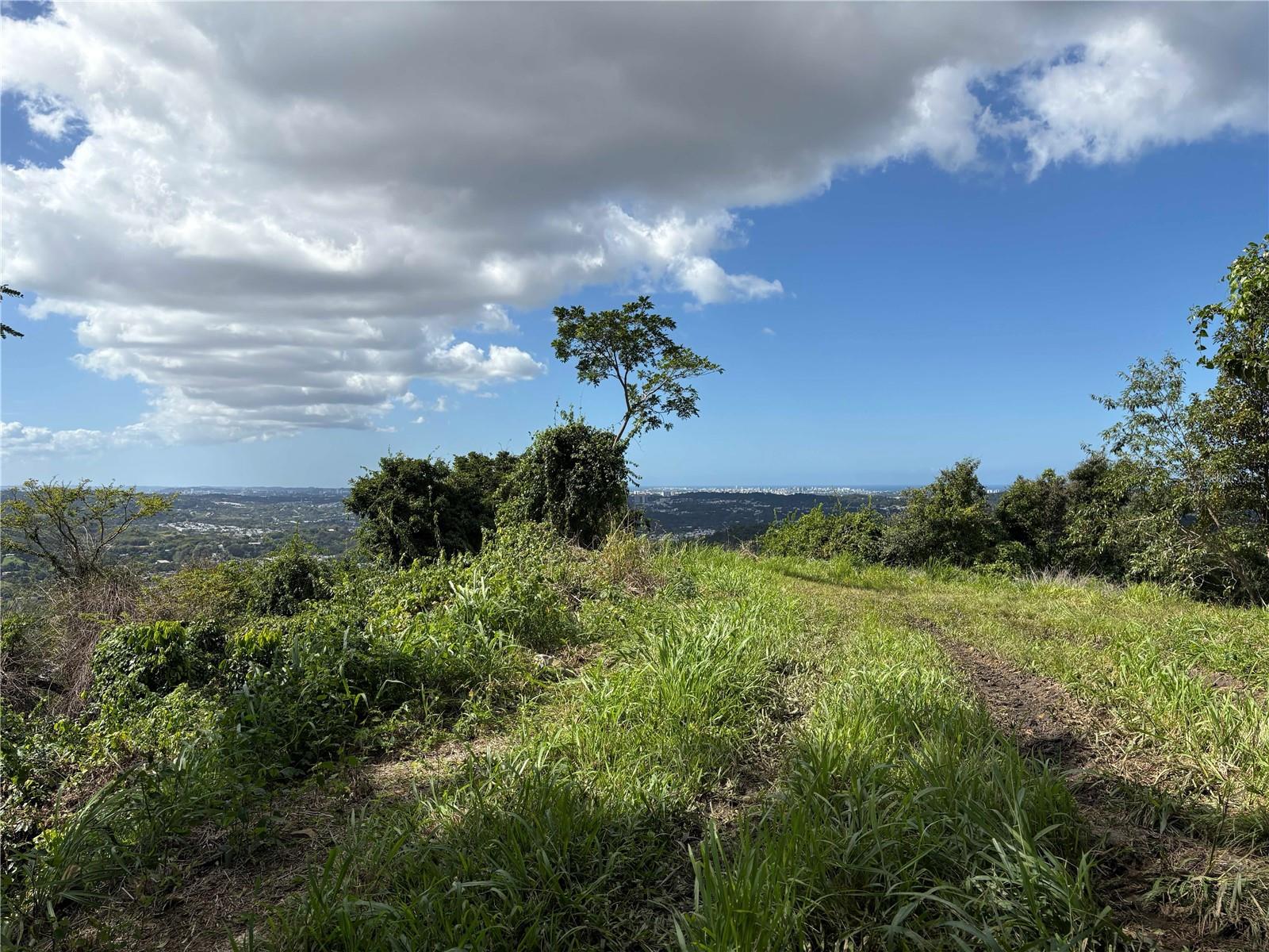 QUEBRADA GRANDE