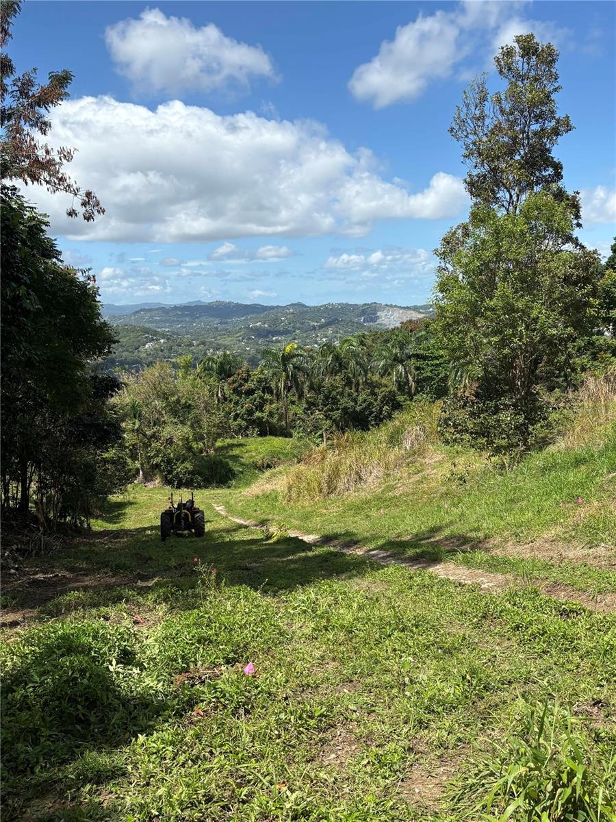QUEBRADA GRANDE