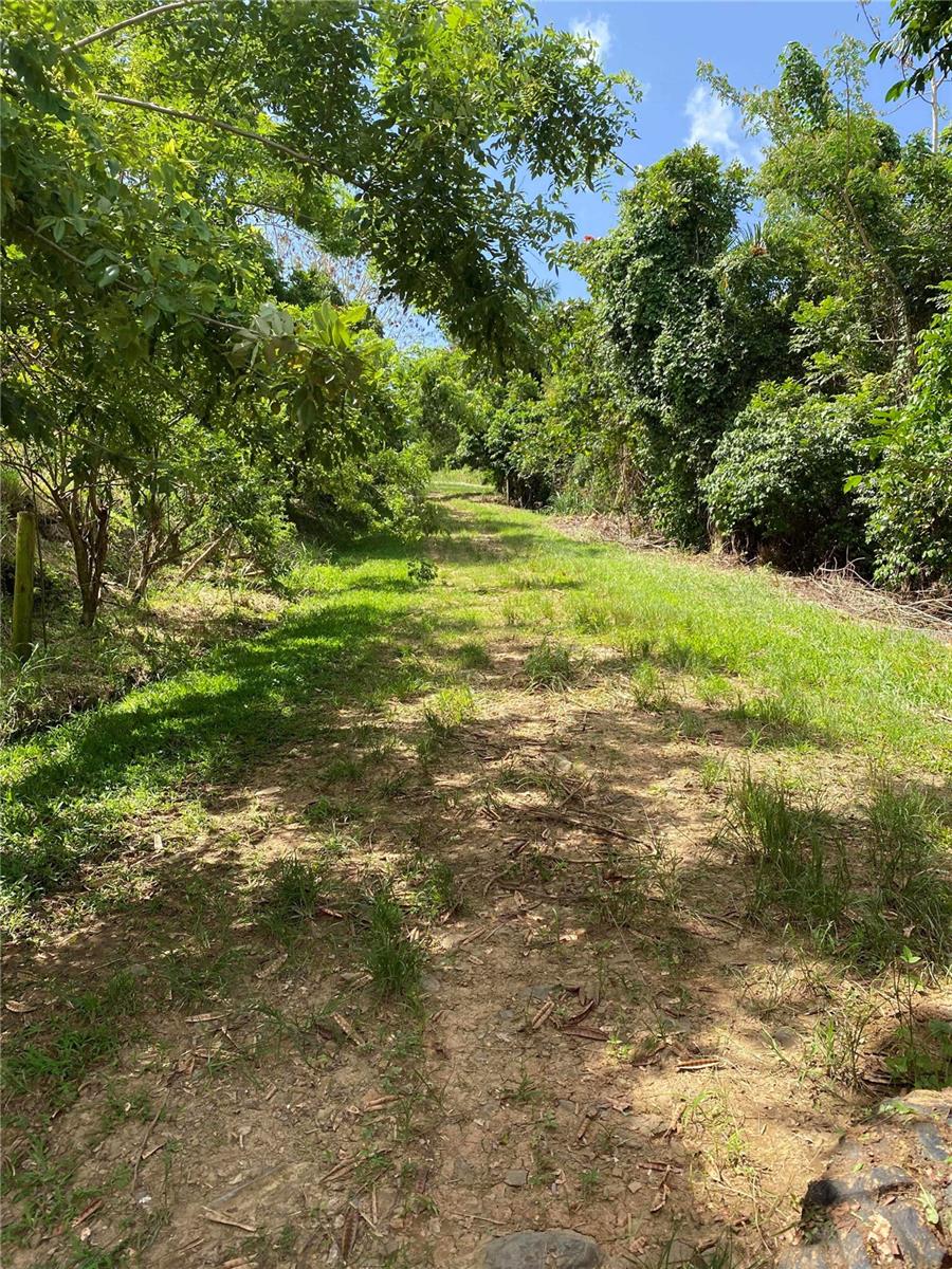 QUEBRADA GRANDE
