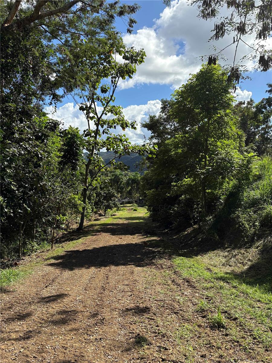 QUEBRADA GRANDE