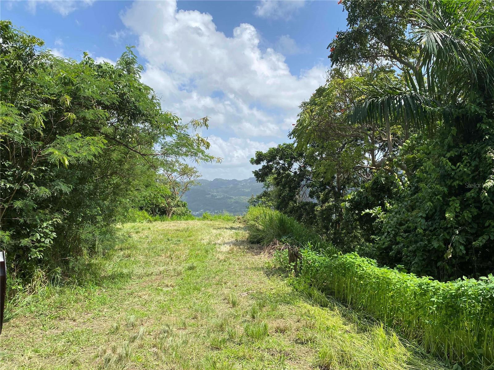QUEBRADA GRANDE