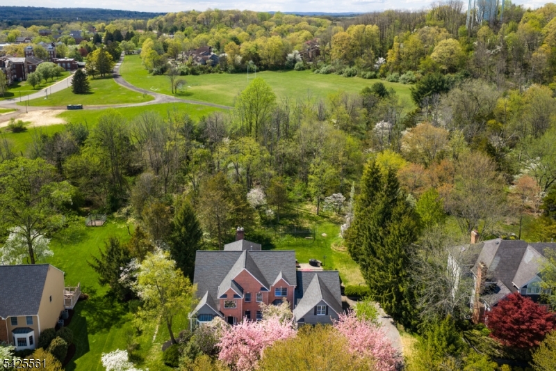 98 Bernard Dr