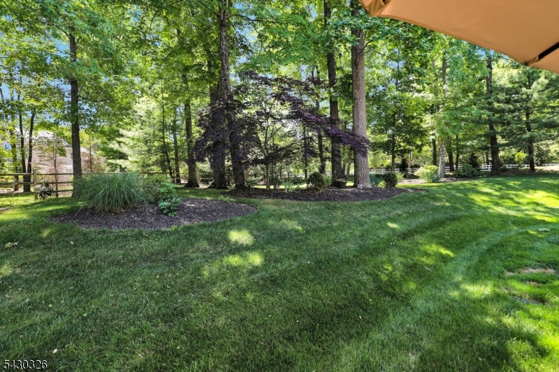 1 Vanderveer Dr