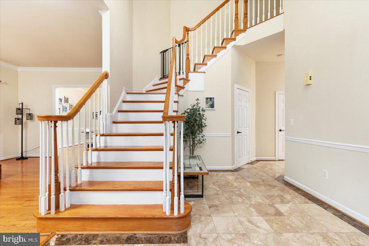 3834 Prince William Dr