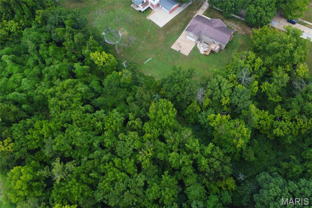 10720 Forest Path Drive