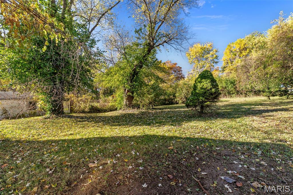 10045 Dorothy Avenue