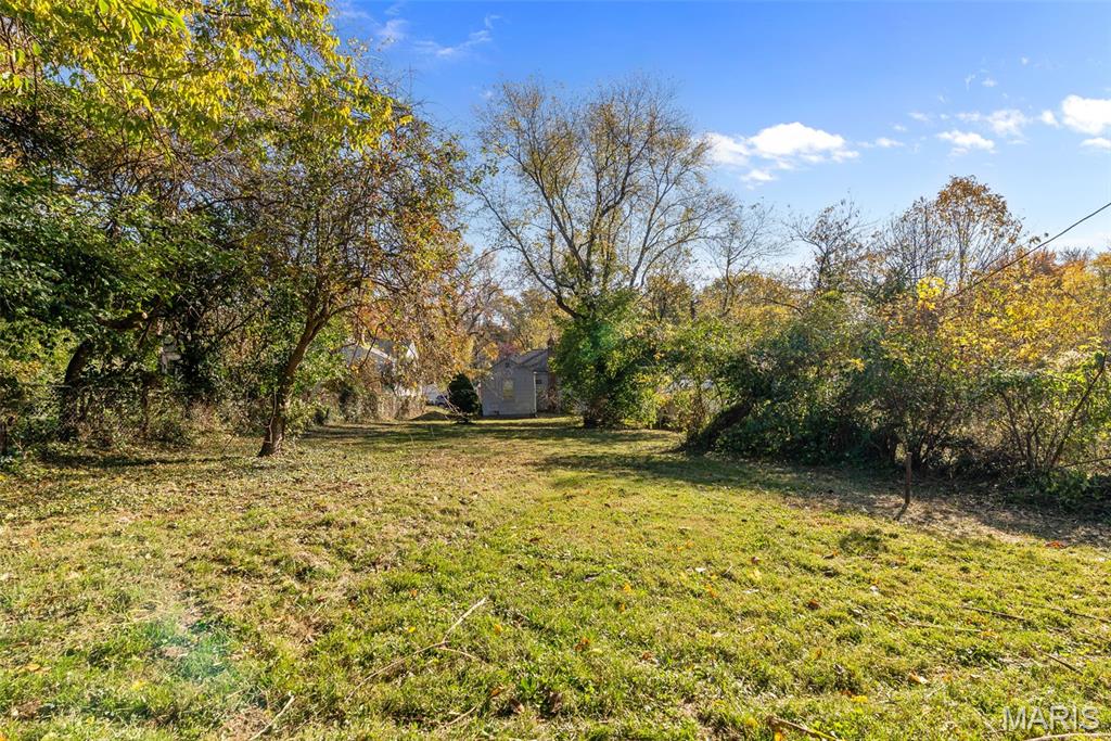 10045 Dorothy Avenue