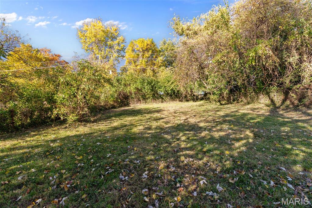 10045 Dorothy Avenue