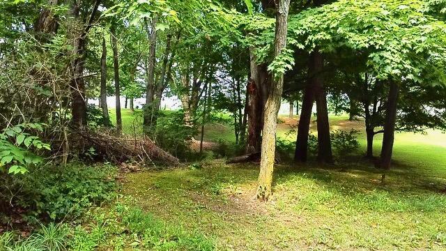 0 Tent Church Road NE, Lot 4