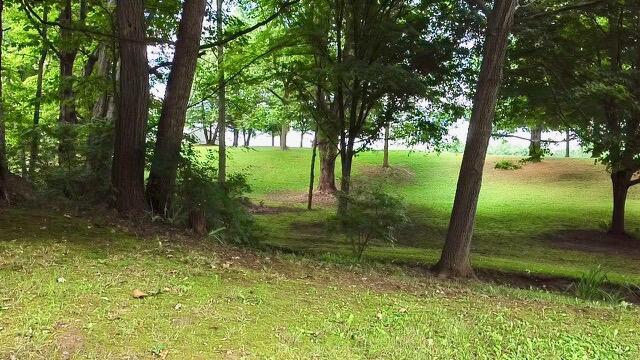 0 Tent Church Road NE, Lot 4