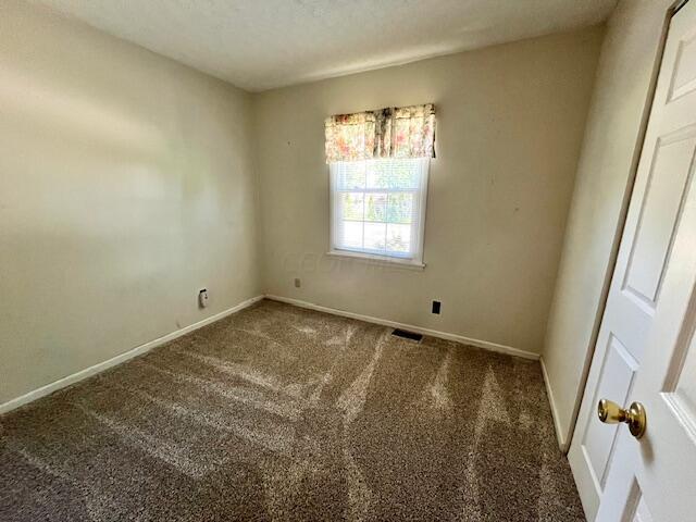 1724 Carl Drive
