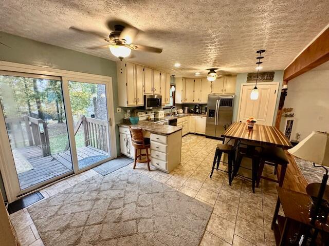 115 Chippewa Drive