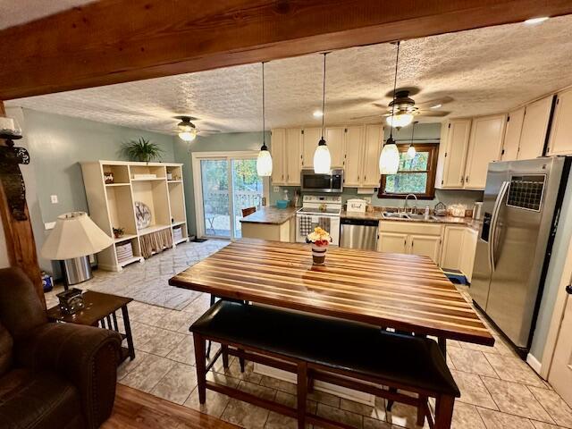 115 Chippewa Drive