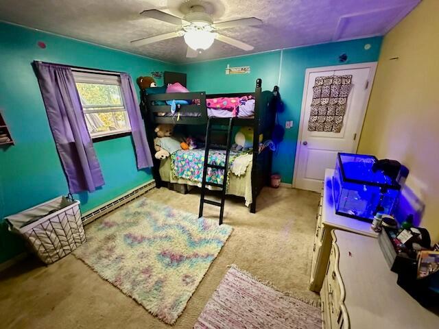 115 Chippewa Drive