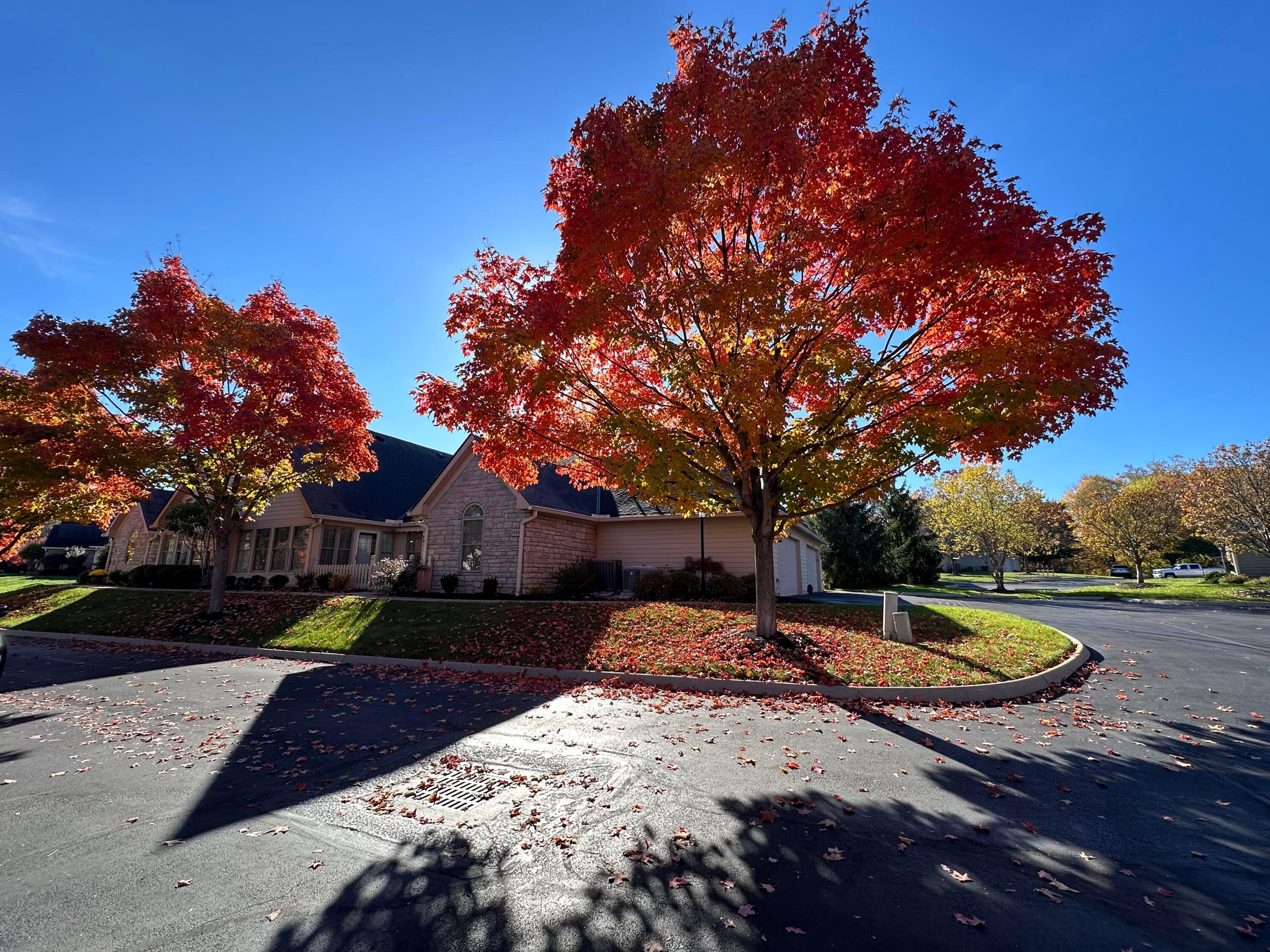 1566 Stone Glen Drive