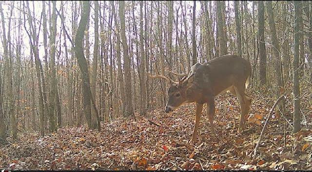 0 Deer Creek Road
