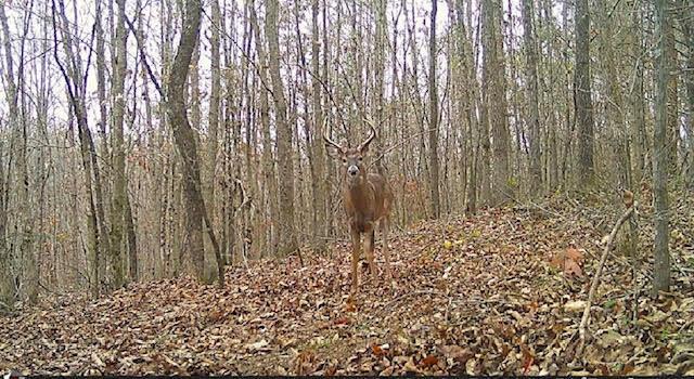 0 Deer Creek Road