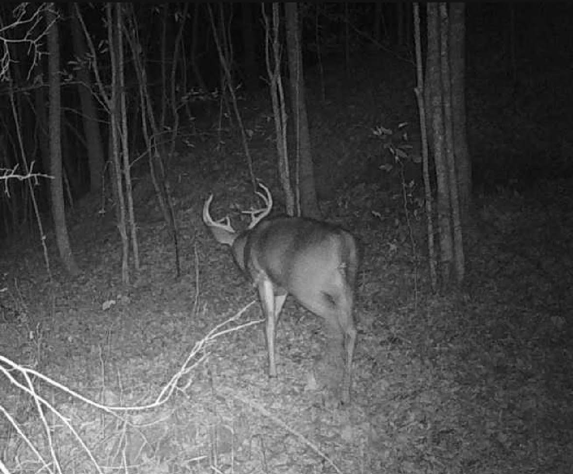0 Deer Creek Road