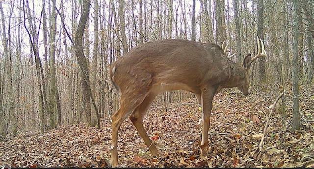 0 Deer Creek Road