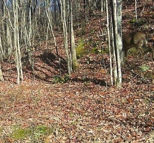 0 Deer Creek Road
