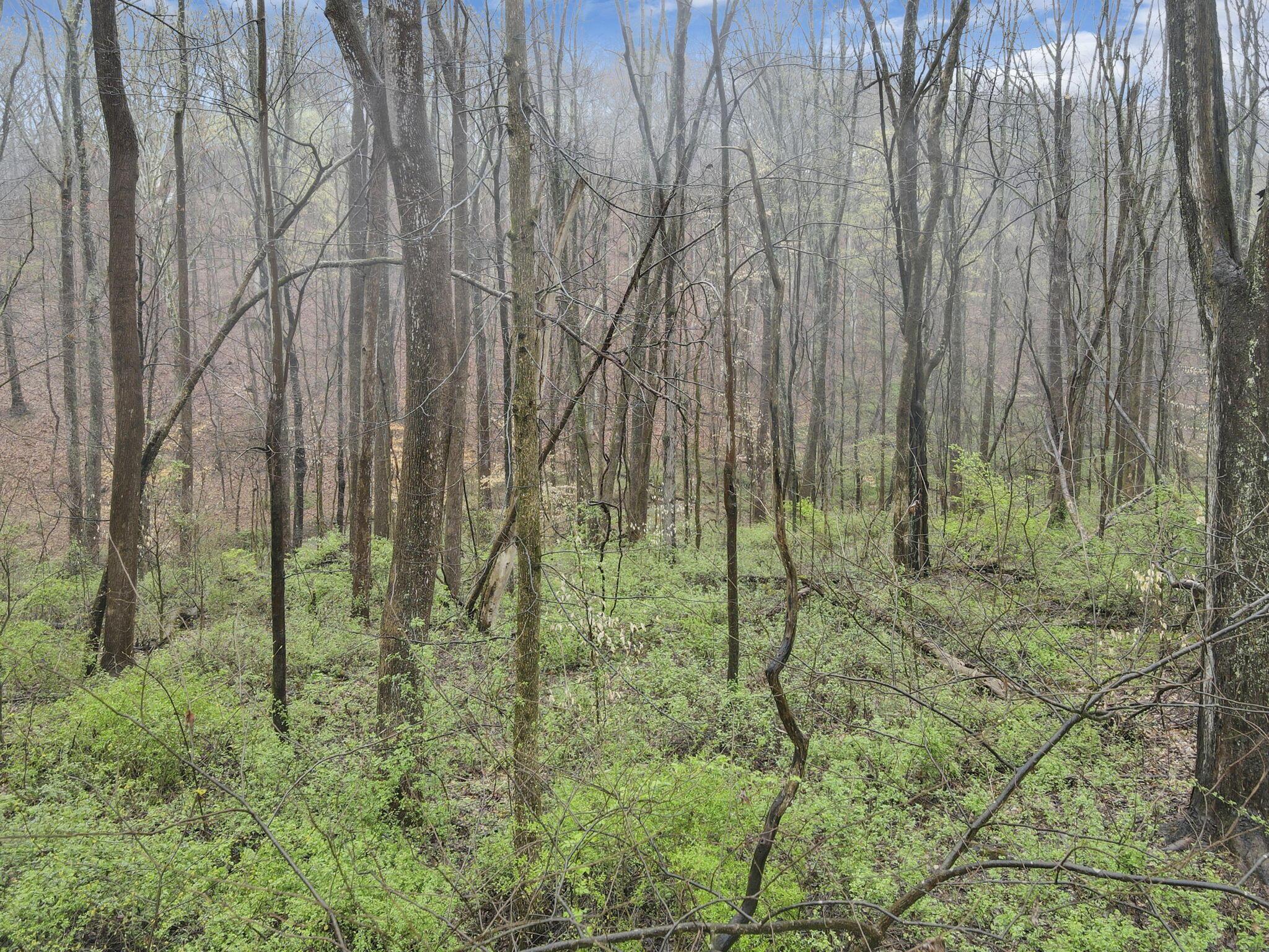 0 Lake Road SE